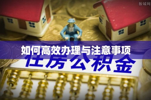 荣县如何高效办理与注意事项