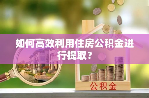 荣县如何高效利用住房公积金进行提取？