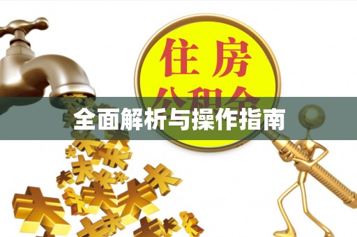 荣县全面解析与操作指南