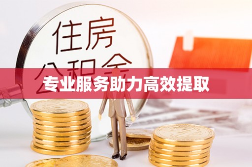 荣县专业服务助力高效提取