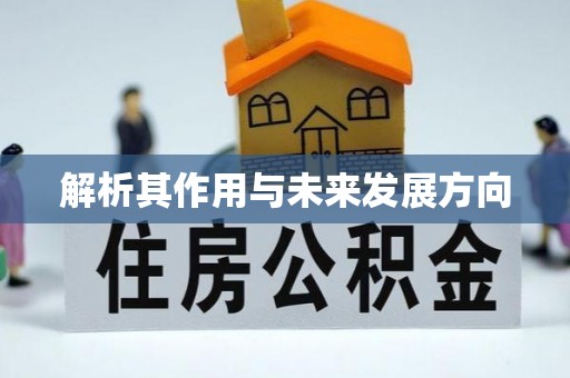 荣县解析其作用与未来发展方向