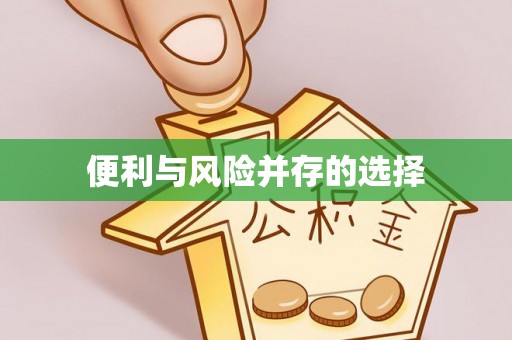 荣县便利与风险并存的选择