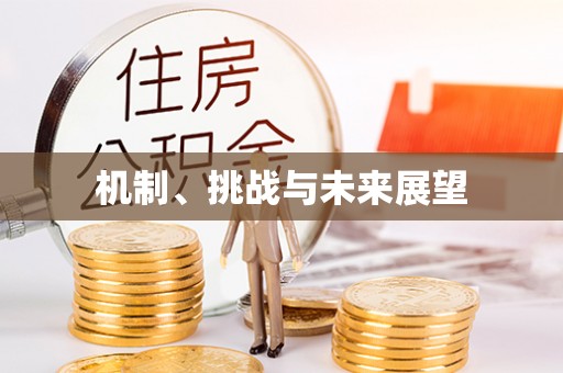 荣县机制、挑战与未来展望