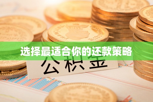 荣县选择最适合你的还款策略
