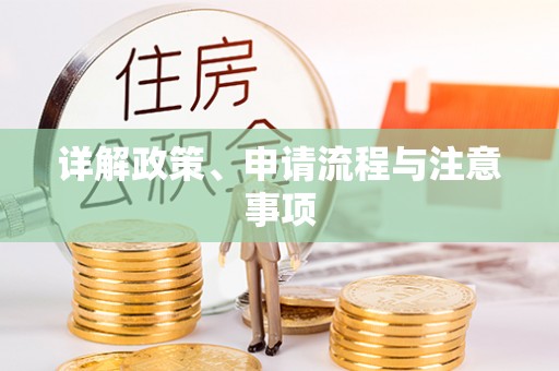 荣县详解政策、申请流程与注意事项