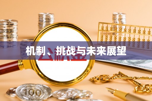 荣县机制、挑战与未来展望