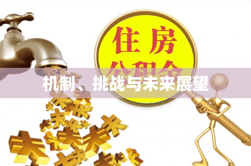 荣县机制、挑战与未来展望